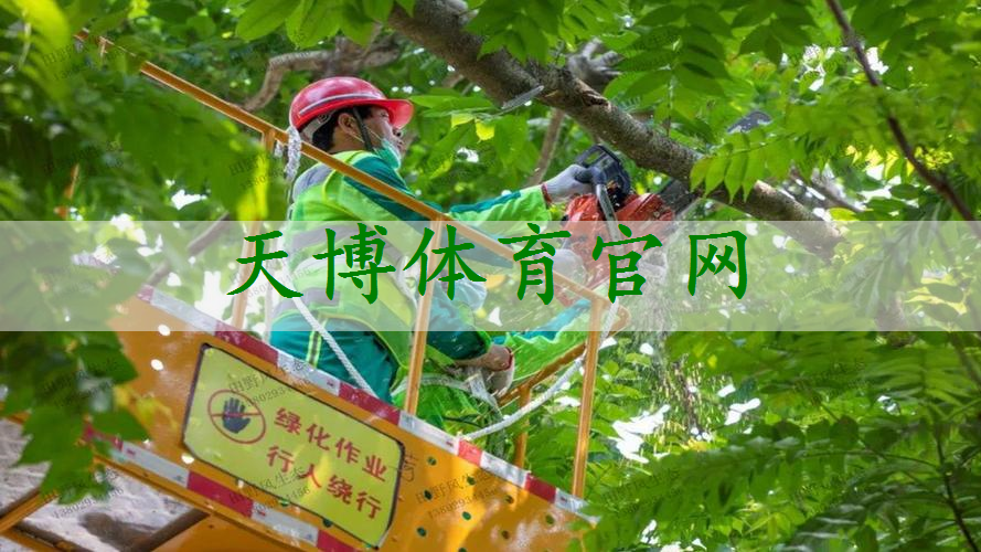 宁河市政园林绿化工程有限公司