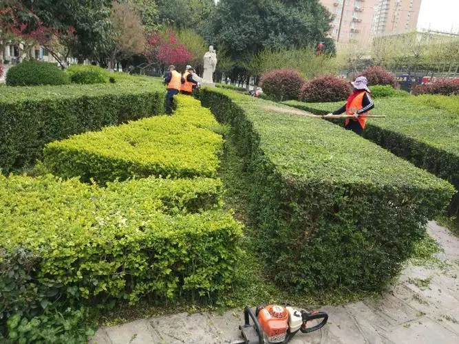 太湖花园绿化工程招标