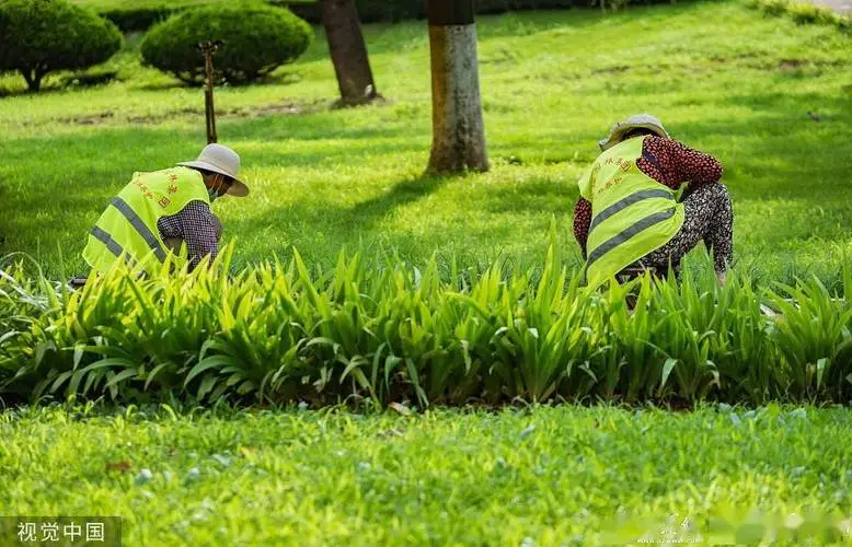 花都园林景观设计