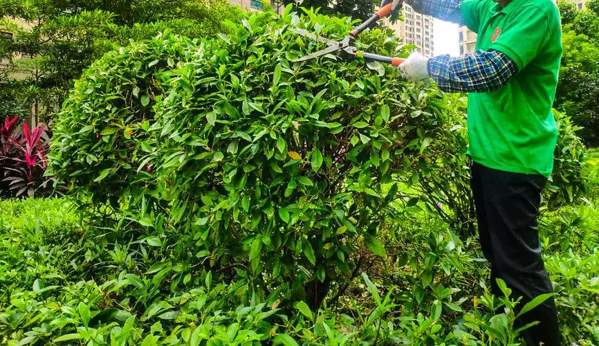 股票行情快报：冠中生态（300948）2月28日主力资金净卖出186.34万元