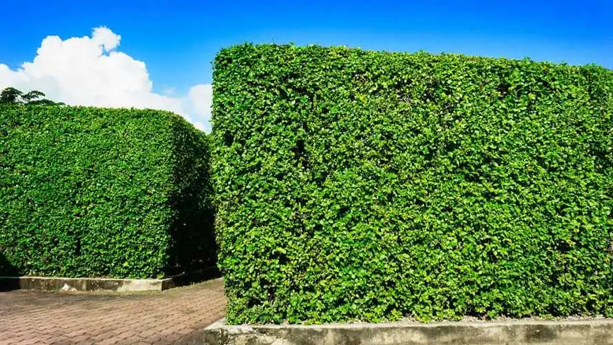 古建园林景观设计工程案例