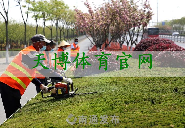 普陀区绿化工程造价